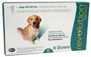 Revolution-for-Dogs-40-1.1-85-lbs-6-Doses-300x189